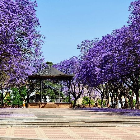 Alazan Jerez Iv-Parking Gratis-Wifi-Netflix Lejlighed Jerez de la Frontera Eksteriør billede